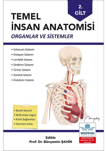 Temel Anatomi Seti 3lü modelleri
