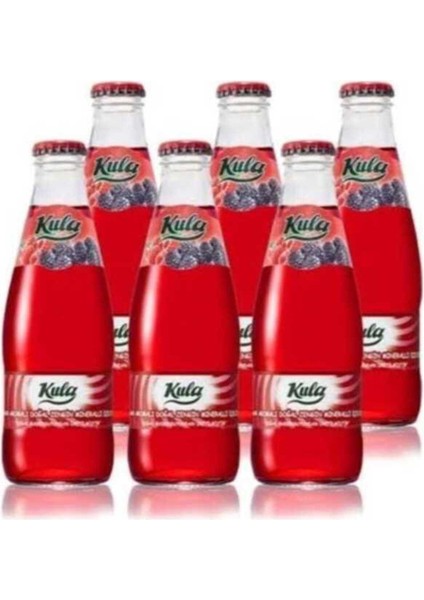 Orman Meyveli Aromalı Doğal Mineralli Maden Suyu 200 ml x 24 Cam Şişe (6 x 4’lü Paket) fiyatları