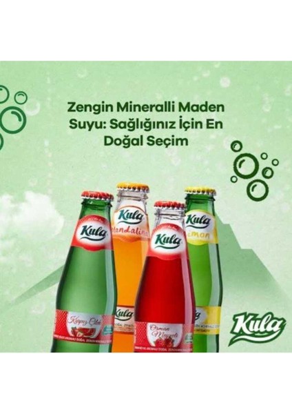 Orman Meyveli Aromalı Doğal Mineralli Maden Suyu 200 ml x 24 Cam Şişe (6 x 4’lü Paket) fırsatları