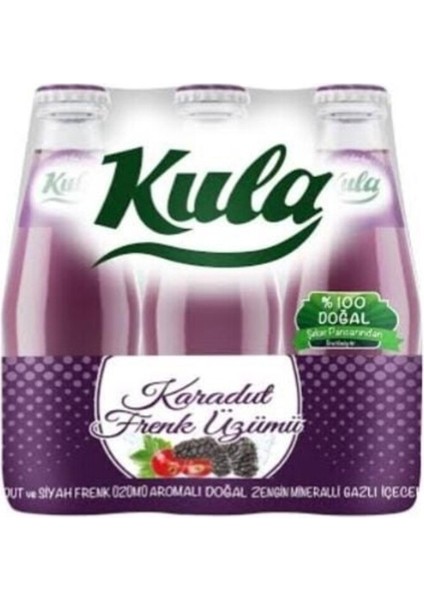 Karadut ve Frenk Üzümlü Aromalı Doğal Mineralli Maden Suyu 200 ml x 24 Cam Şişe (6 x 4’lü Paket)