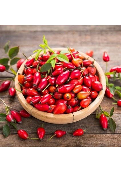 Kuşburnu (Erzincan)