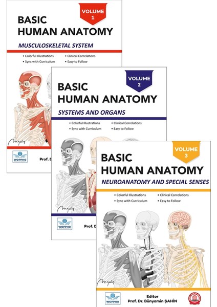 Basic Human Anatomy Set 3lü