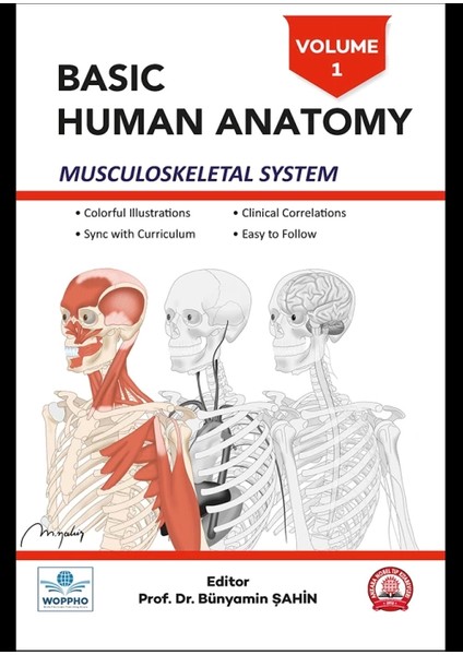 Basic Human Anatomy Set 3lü fiyatları