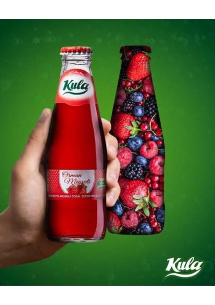 Orman Meyveli Aromalı Doğal Mineralli Maden Suyu 200 ml x 24 Cam Şişe (6 x 4’lü Paket)