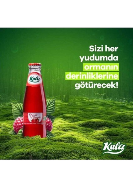 Orman Meyveli Aromalı Doğal Mineralli Maden Suyu 200 ml x 24 Cam Şişe (6 x 4’lü Paket) modelleri