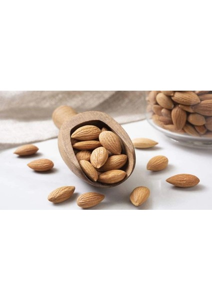 Kayısı Çekirdeği