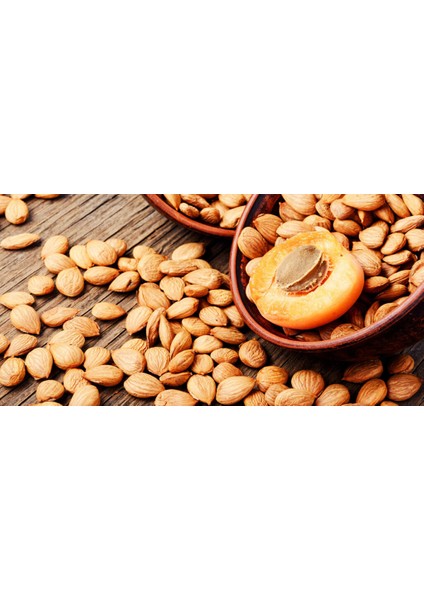 Kayısı Çekirdeği fiyatları