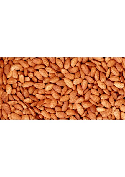 Kayısı Çekirdeği modelleri