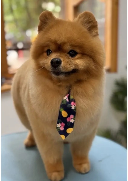 Ayarlanabilir Kedi ve Köpek Kravatı, Çilek Desenli indirimleri