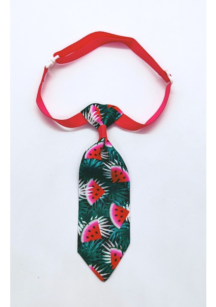 Ayarlanabilir Kedi ve Köpek Kravatı, Yeşilli Karpuzlu