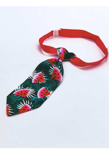 Ayarlanabilir Kedi ve Köpek Kravatı, Yeşilli Karpuzlu modelleri