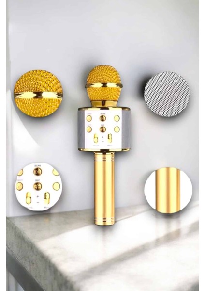 Taşınabilir Bluetooth Karaoke Mikrofon: Hafıza Kart Girişli Etkileyici Performan - M580R900-K63 fiyatları