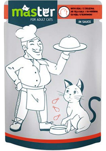 Techmrt Master Kümes Hayvanlı Pouch Kedi Maması Jöle 80 gr