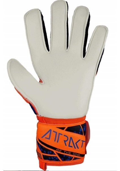 Attrakt Solid Kaleci Eldiveni (Kemiksiz) 5470515-2210 9