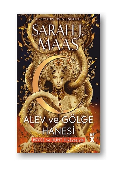 Hilal Şehir 3: Alev ve Gölge Hanesi