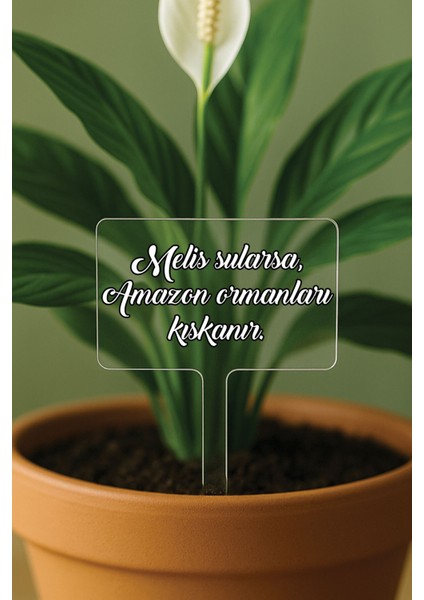 Kişiye Özel Isim Kelime Yazılı Uv Baskılı Şeffaf Dekoratif Pleksi Saksı Süsü - Dizayn 16