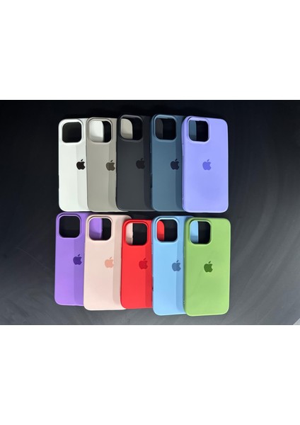 iPhone 11 Uyumlu Renkli Logo Içi Kadife Lüks Lansman Kılıf fırsatları