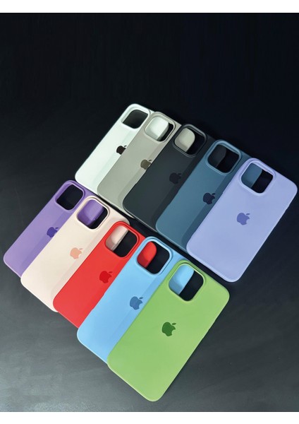 iPhone 11 Uyumlu Renkli Logo Içi Kadife Lüks Lansman Kılıf