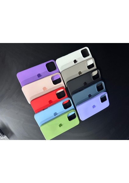 iPhone 11 Uyumlu Renkli Logo Içi Kadife Lüks Lansman Kılıf fırsatları