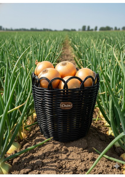 Raddancore Büyük Boy Soğanlık/soğan Sepeti fırsatları