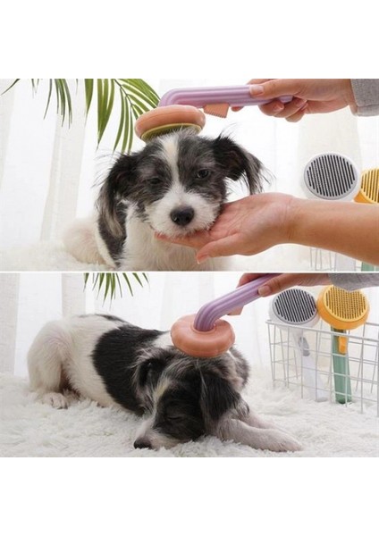 Plastik Yeşil Evcil Hayvan Bakım Pet Fırçası Çok Amaçlı Pet Fırçası Yeşil (5324) fiyatları