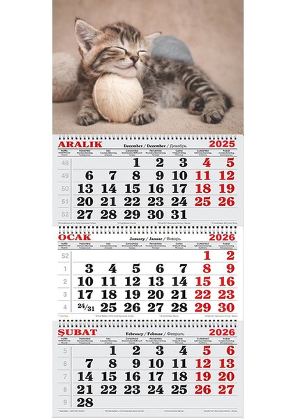 2026 Yılı Gemici Takvimi----Minnoş Tekir Kedi