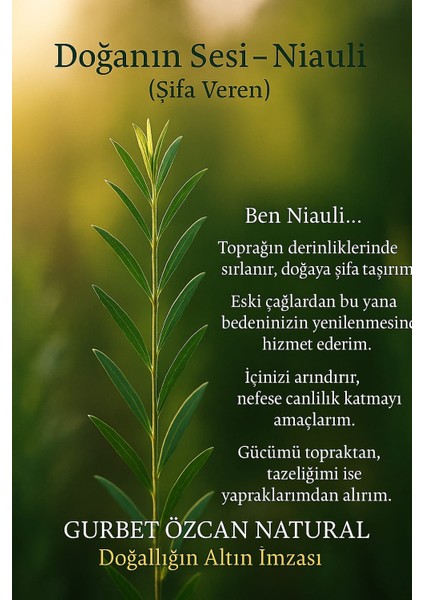 Niaouli Yağı (Nioli) %100 Saf Doğal Seyreltilmemiş (Melaleuca Quinguenervia Oil) 10 ml fırsatları