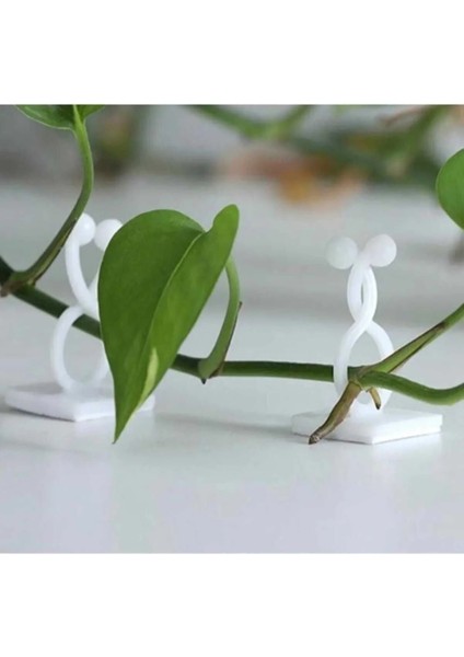 10 Adet Bitki Klipsi Sarmaşık Çiçek Tutucu Duvar Tutturma Aparatı Yapışkanlı Tutucu