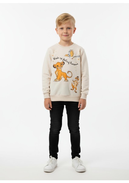 Hayvan Desenli Erkek Çocuk Sweatshirt