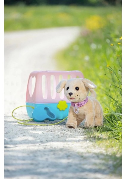 Baby Born Köpeğim Lucky fiyatları