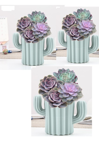 3 Lü Kaktüs Figürlü Masaüstü Mini Sukulent Saksı - Kalemlik Plastik