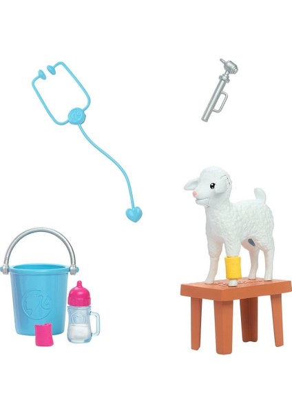 HRG42 Barbie 65. Yıl Deluxe Kariyer Bebekleri - Veteriner fırsatları