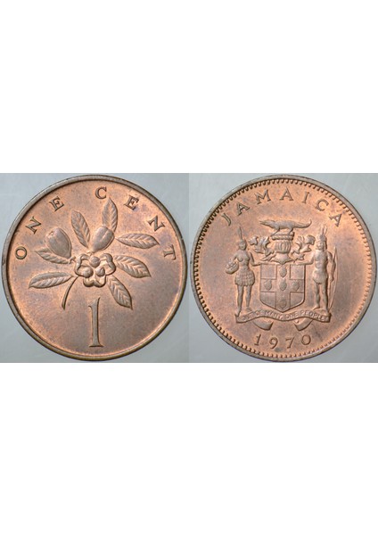Jamaika 1 Cent 1970 Az Çıkar. Çilaltı.