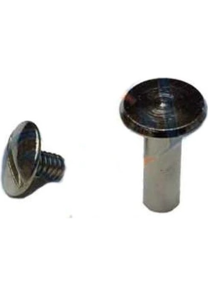 Cilt Menü, Katalog, Kartela Vidası, 13mm - Nikel, 100 Adet