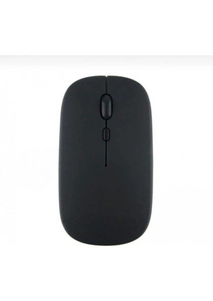ZR216 Siyah Bluetooth Mouse