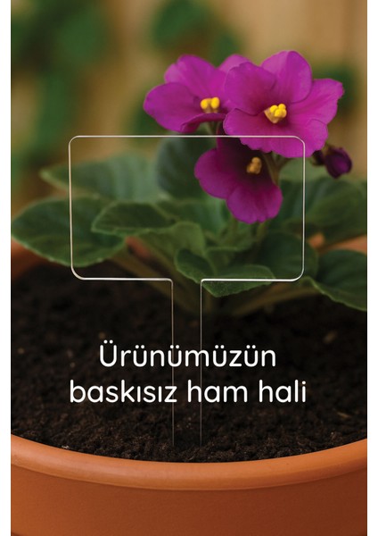 Kişiye Özel Isim Kelime Yazılı Uv Baskılı Şeffaf Dekoratif Pleksi Saksı Süsü - Tsrm 22 indirimleri
