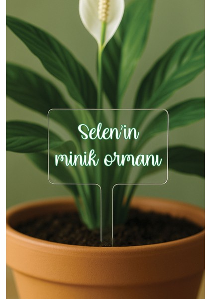 Kişiye Özel Isim Kelime Yazılı Uv Baskılı Şeffaf Dekoratif Pleksi Saksı Süsü - Tasarım 3