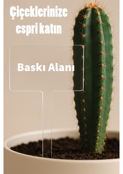Kişiye Özel Isim Kelime Yazılı Uv Baskılı Şeffaf Dekoratif Pleksi Saksı Süsü - Tasarım 3