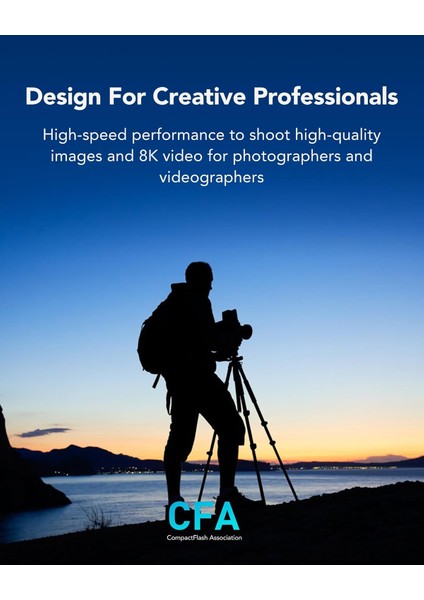 Professional Silver Serisi 512 GB Cfexpress Kart, Tip B Cfe Kart, 1750 Mb/s'ye Kadar Okuma Hız modelleri