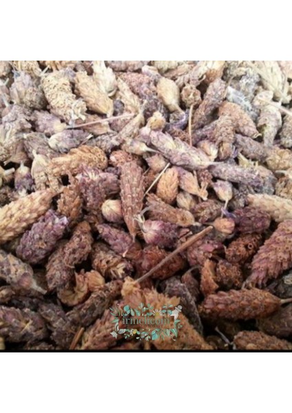 Karabaş Otu Irmelicom modelleri