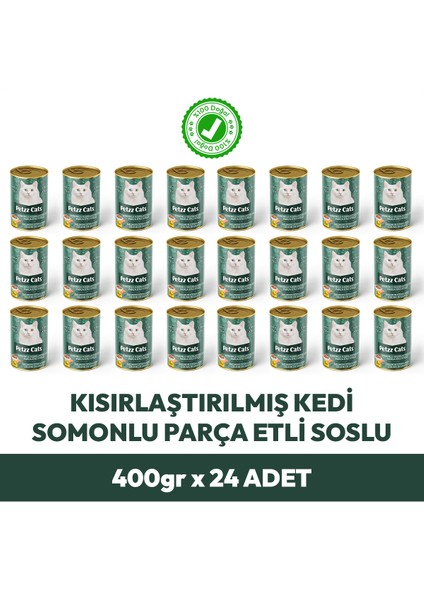 Somonlu Kısırlaştırılmış Kedi Konservesi