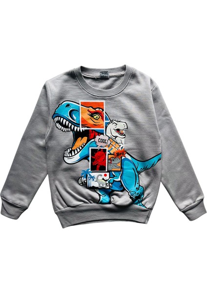 4-10 Yaş Erkek Çocuk Iki Iplik Şardonlu Dinozor Baskılı Eşofman Takımı fiyatları