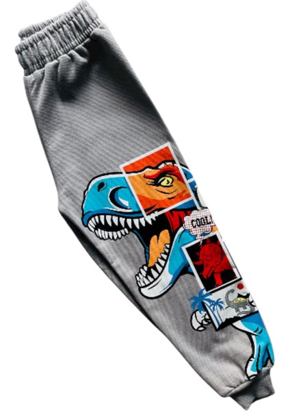 4-10 Yaş Erkek Çocuk Iki Iplik Şardonlu Dinozor Baskılı Eşofman Takımı modelleri