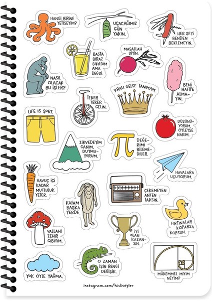 Hisli Şeyler 2026- 13*19,5 Haftalık Ajanda - Sığmıyorum Dünyaya fiyatları