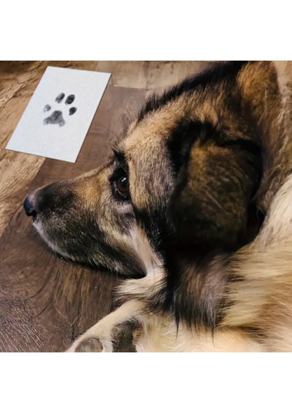 Bebek & Evcil Hayvan El Ayak Pati Izi Anı Paketi | Kil Seti | Hatıra Kalıbı | Hediyelik