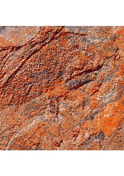 Duvar Kağıdı 3 Boyutlu Sıva Desenli Isı ve Ses Yalıtımlı Tekstil Duvar Kağıdı