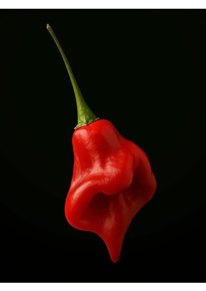 Rocotillo Pepper / 2500 Scoville - Gerçek Taze Acı Biber