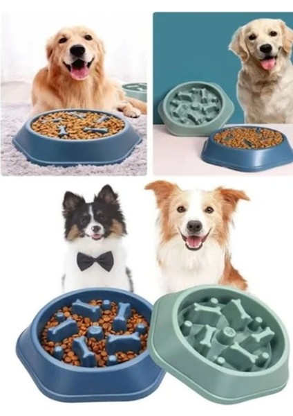 Kedi-Köpek Yavaş Yeme Mama Kabı Obezite Önleyici Sindirim Düzenleyici Mama Kabı