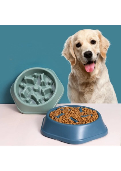 Kedi-Köpek Yavaş Yeme Mama Kabı Obezite Önleyici Sindirim Düzenleyici Mama Kabı fiyatları