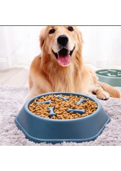 Kedi-Köpek Yavaş Yeme Mama Kabı Obezite Önleyici Sindirim Düzenleyici Mama Kabı fırsatları